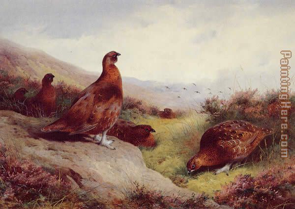 Archibald Thorburn Autumn Glory